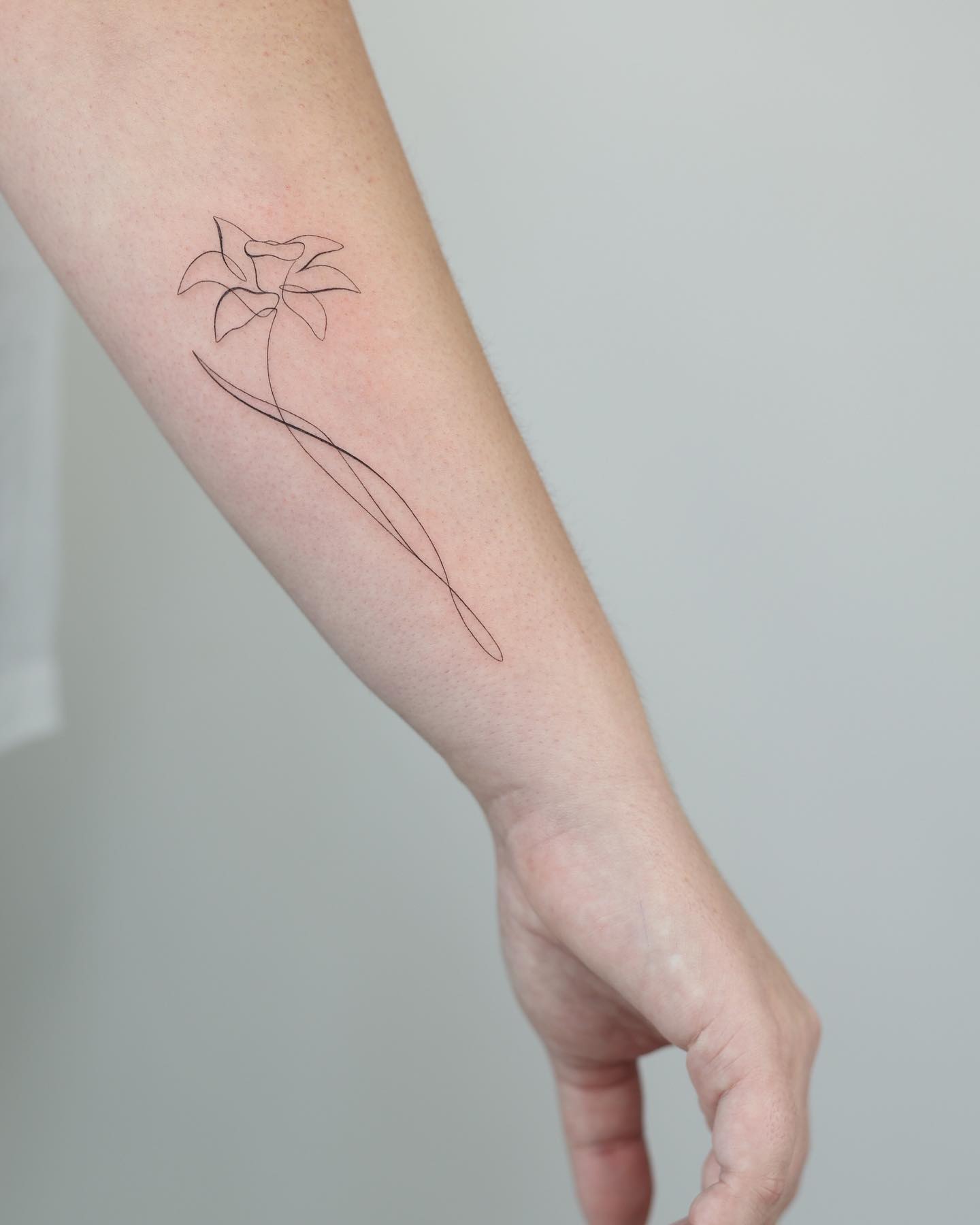 Tatuajes de flores narcisos: Una flor desconocida para muchos pero llena de simbolismo