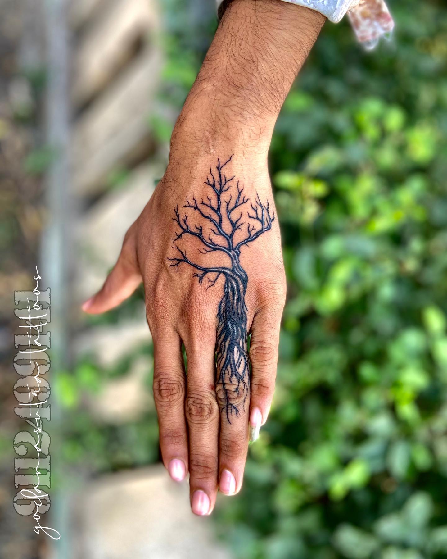 Tatuaje de brazo y palmera del árbol de la vida.