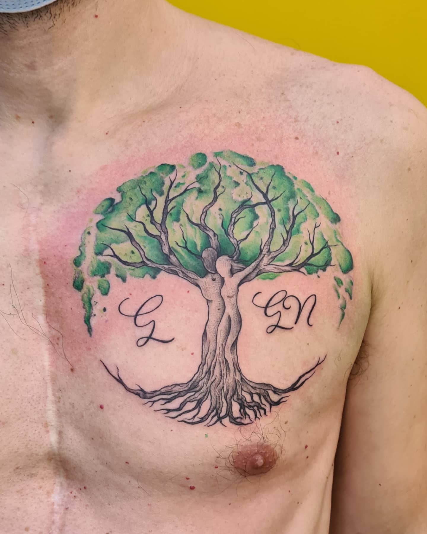 Tatuajes de Árbol de la Vida en Cofre Verde